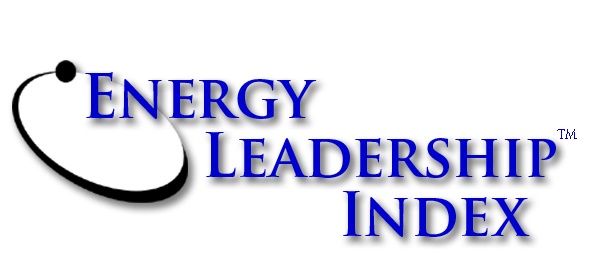 Energy Leadership Index Assessment and Debrief